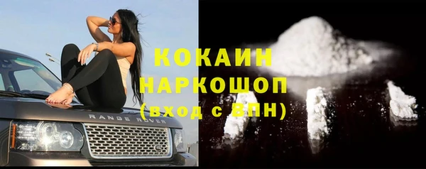 соль ск Алзамай