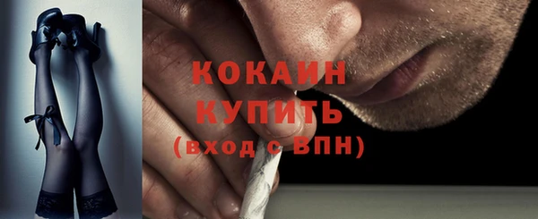 соль ск Алзамай