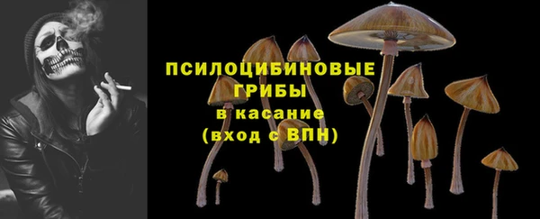 соль ск Алзамай