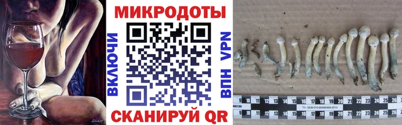 Купить закладки  Шенкурск  Псилоцибиновые грибы Magic Shrooms 